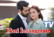 Flori Însângerate TV