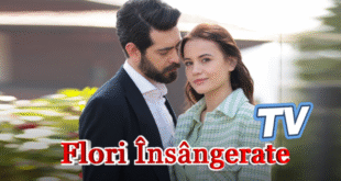 Flori Însângerate TV